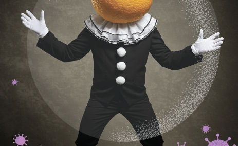 고흥유자축제 일정 프로그램 주변 맛집 숙소 교통 주차 정보