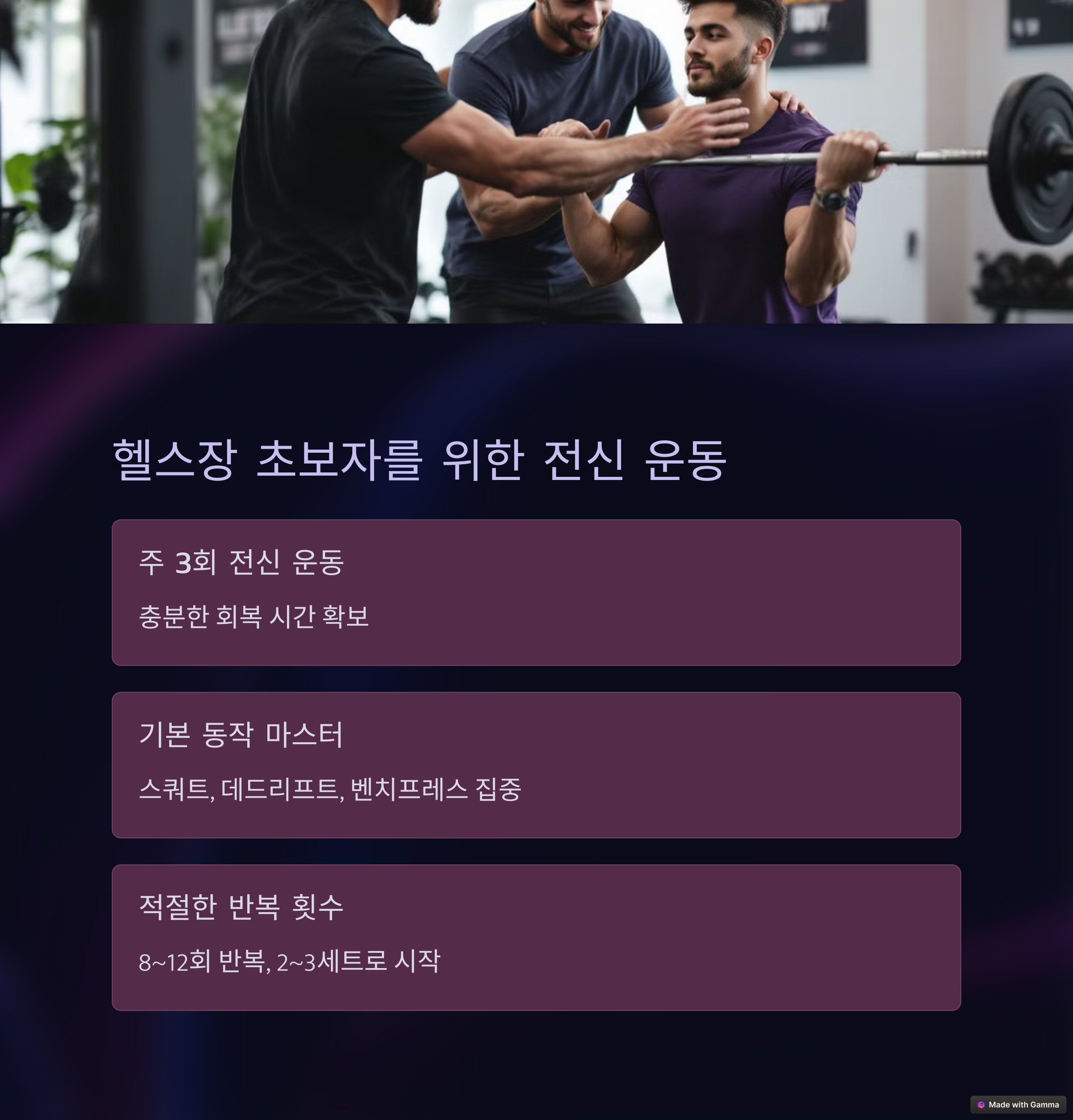 운동 프로그램 분석