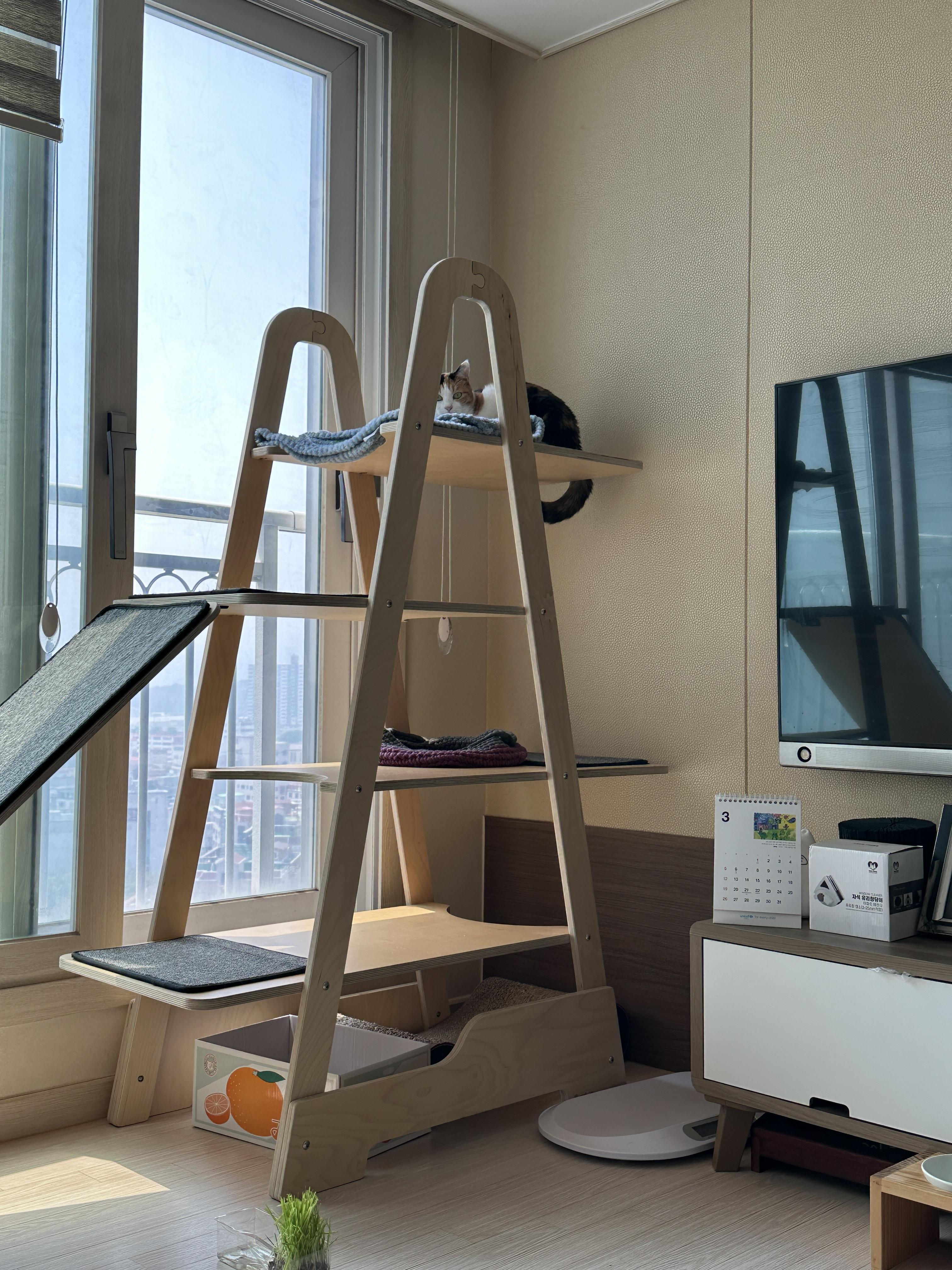 쉴-때도-엣지-있는-요미-꼬리