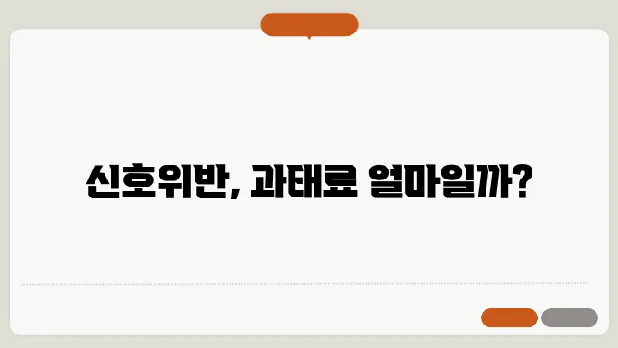 신호위반 과태료 종류와 금액 정리