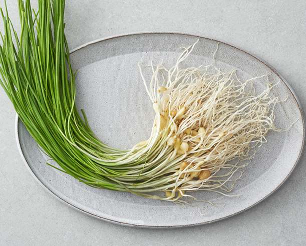 3월에 먹으면 좋은 제철 음식의 종류 Top 10 (봄철 음식) 두릅 냉이 쭈꾸미 취나물 씀바귀 바지락 달래 소라 부추 쑥