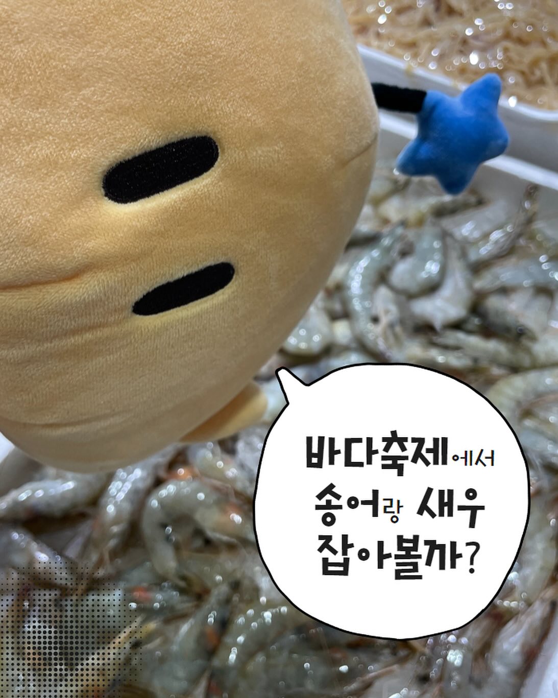 대전 도심 속 바다 축제