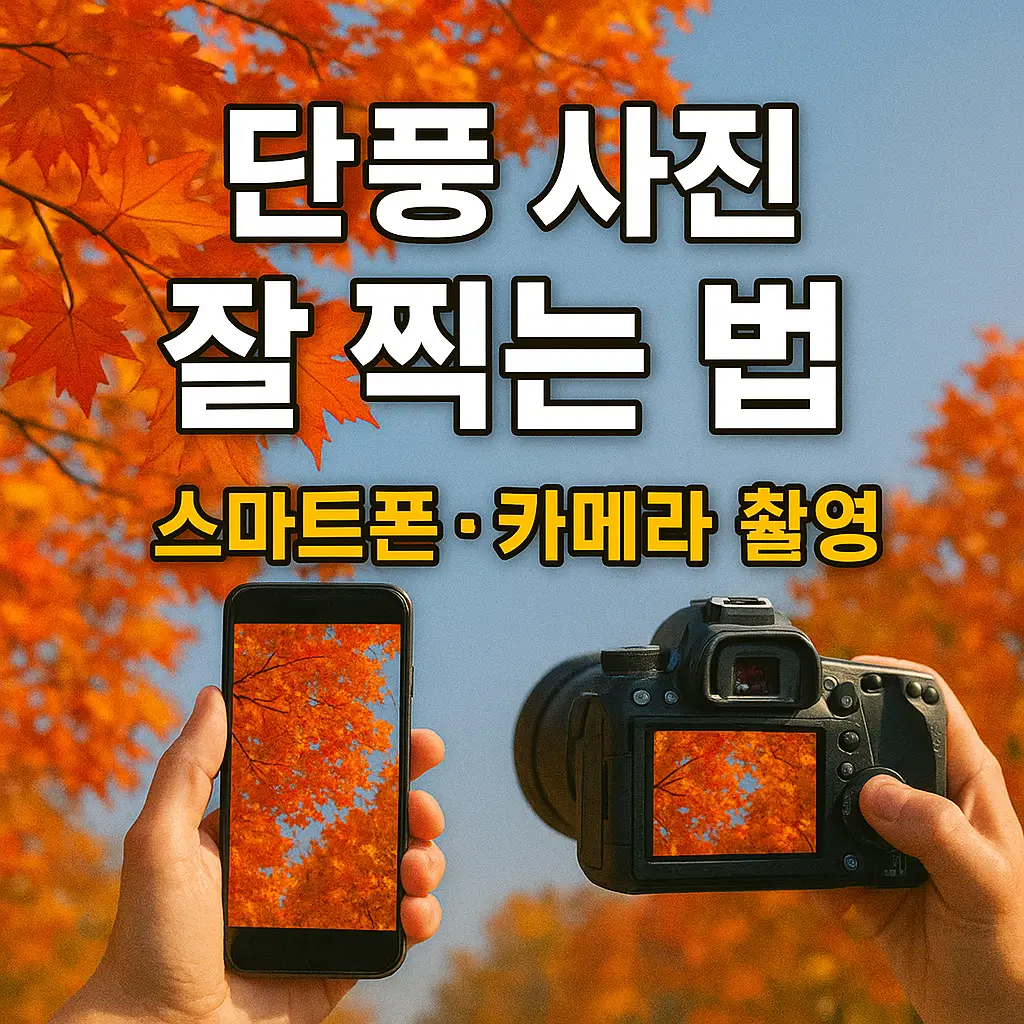 단풍 사진 잘 찍는 법 스마트폰·카메라 촬영 꿀팁 7가지