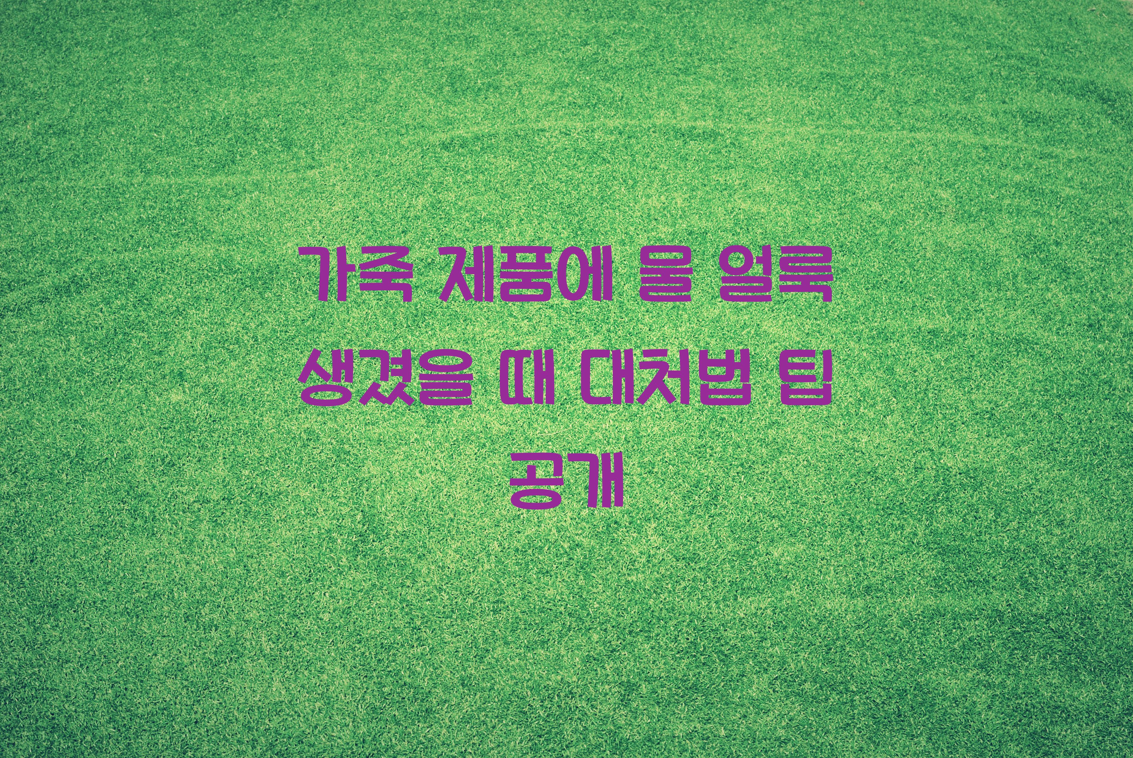 가죽 제품에 물 얼룩 생겼을 때 대처법