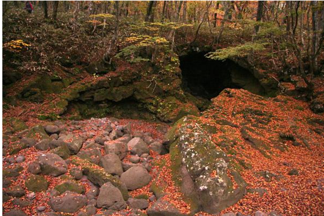 제주 구린굴 공개, 관음사 인근 용암동굴 탐방 예약제 안내