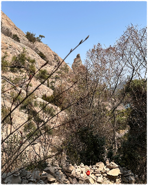 장자도