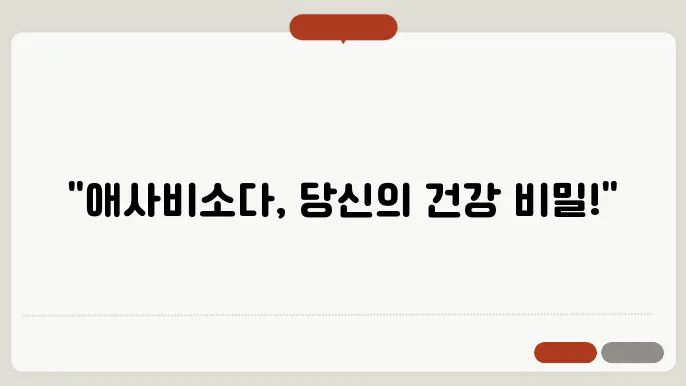 애사비소다 효능 부작용 애사비 맛있게 먹늕