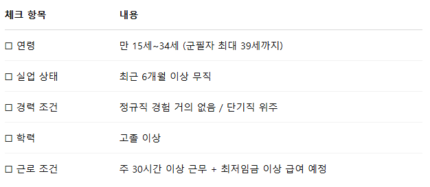 청년 대상 체크리스트