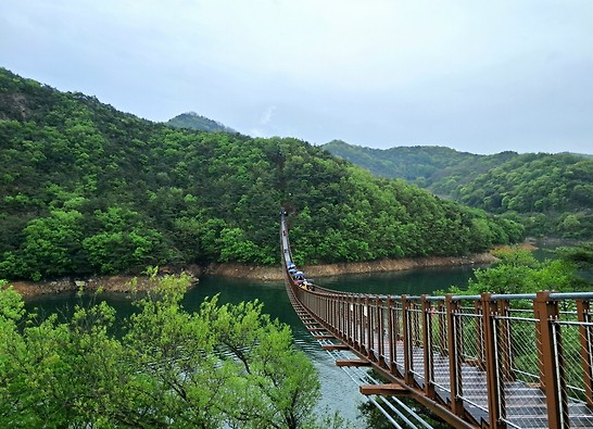 충북 제천시 옥순봉 출렁다리