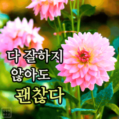 위로와 격려의 인사말 이미지, 다 잘하지 않아도 괜찮다는 감성 문구 사진