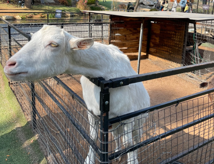 산들소리 수목원