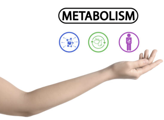 Metabolomics에서 Hypothesis-Free 접근이 가져온 변화