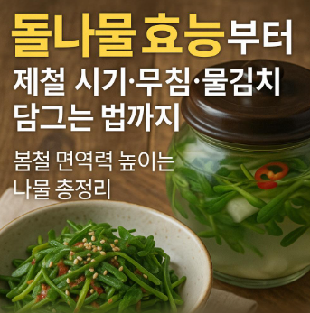 돌나물 효능부터 제철 시기·무침·물김치 담그는 법까지! 봄철 면역력 높이는 나물 총정리