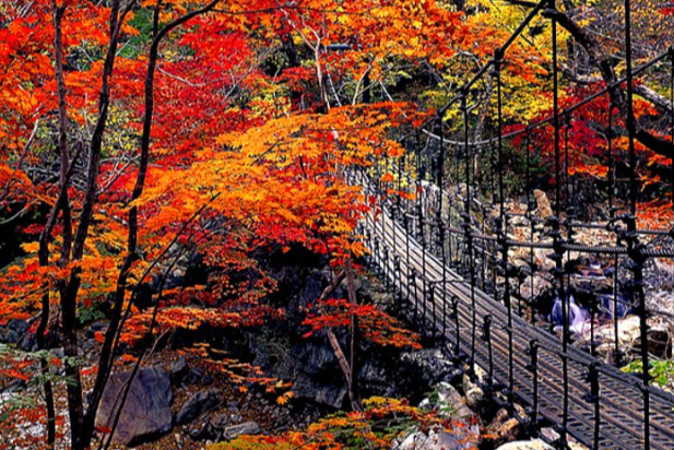 지리산 피아골