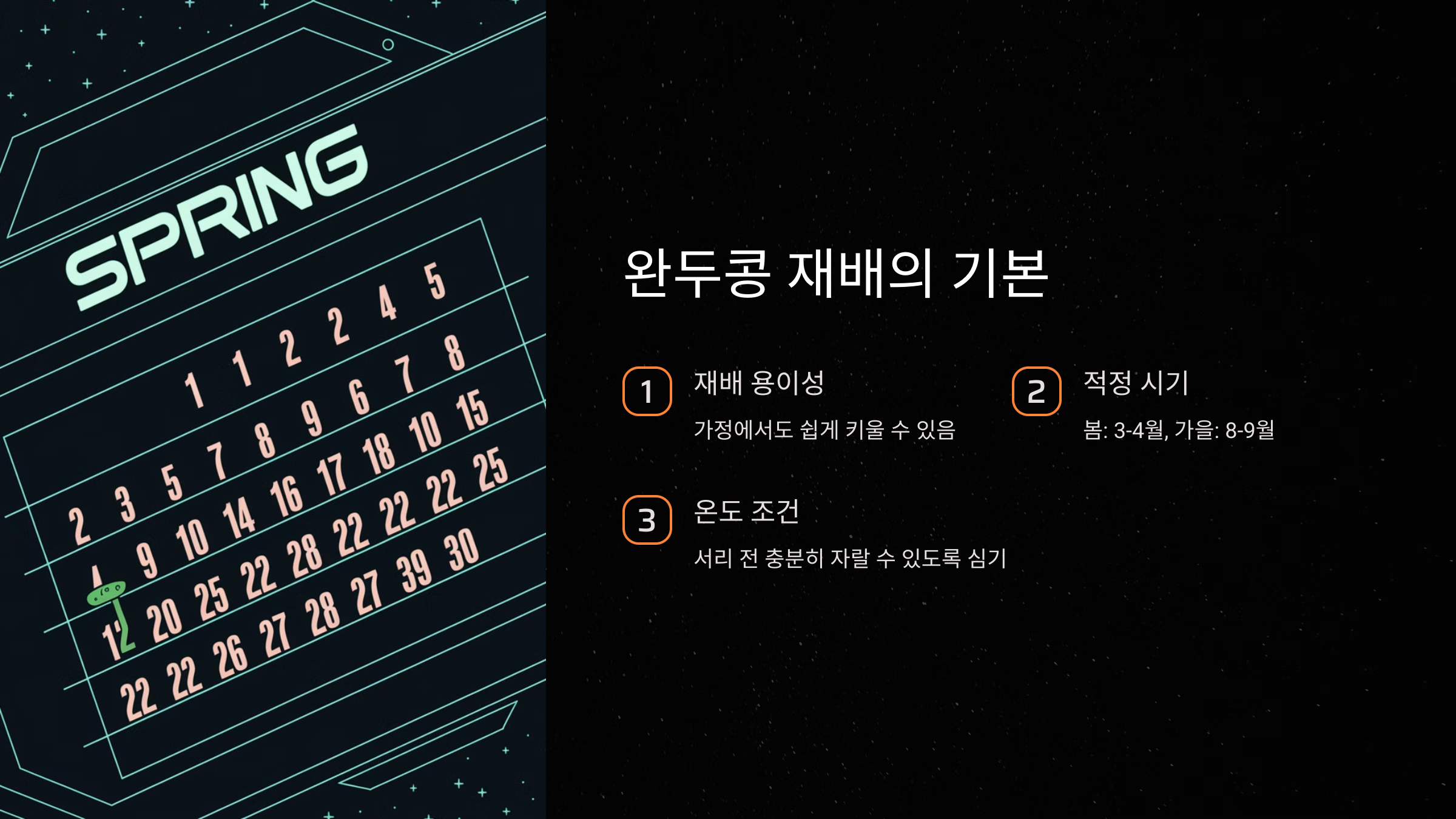 완두콩 재배의 기본