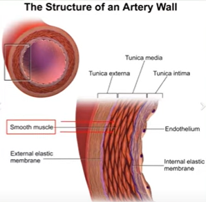 고혈압 약 종류