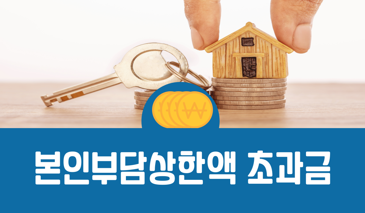 본인부담상한액 초과금