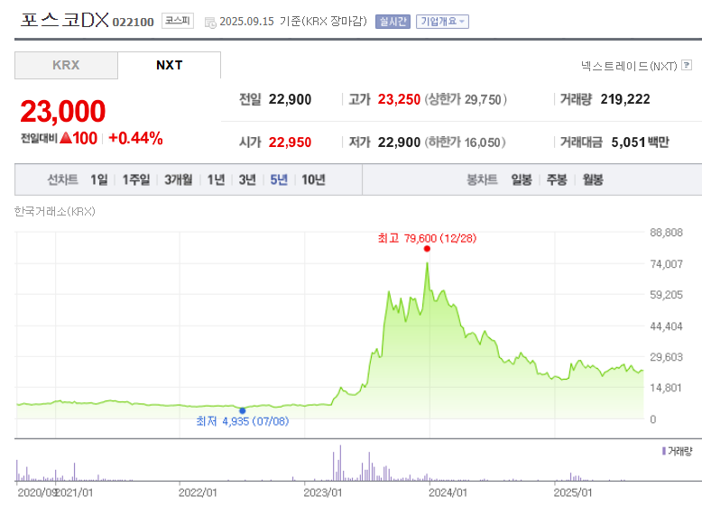 포스코DX 주가