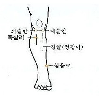 쑥뜸 혈자리 위치 BEST 10 : 효과별 뜸 자리 총정리