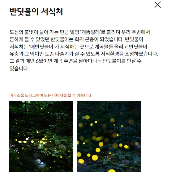 반딧불이 서식처