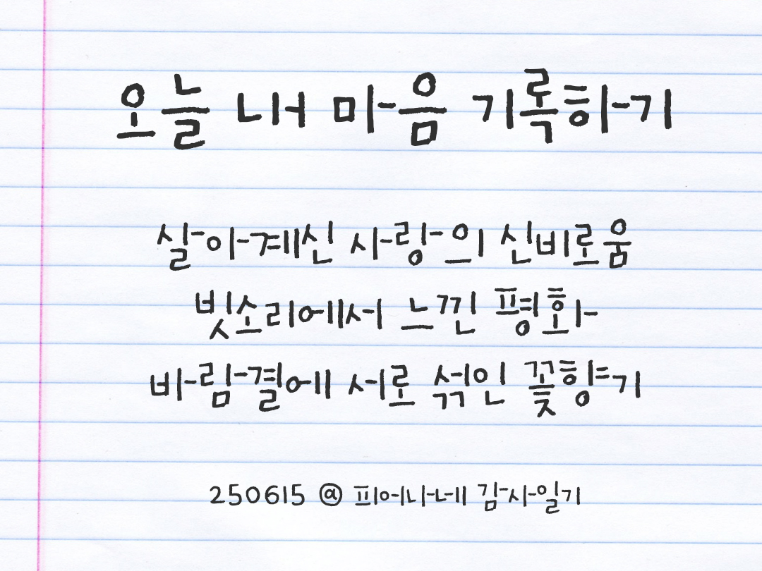 25년 6월 15일 오늘 내 마음 기록하기 감사노트, 감사를 통해 발견한 행복, 오늘 감사한 순간들 by 피어나네 감사일기