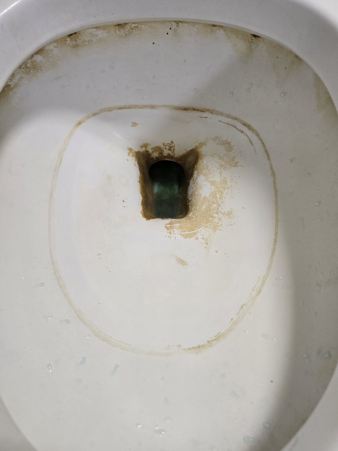 찌든때 누른때로 찌릉내나는 화장실 변기