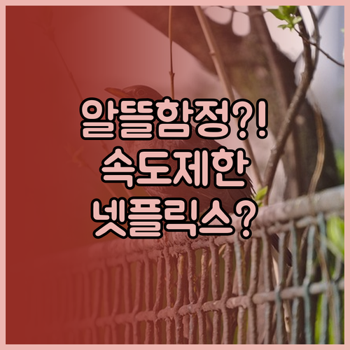 알뜰폰 무제한 요금제의 함정 넷플릭스..