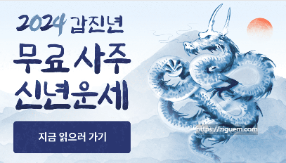 포스 텔러 신년 운세