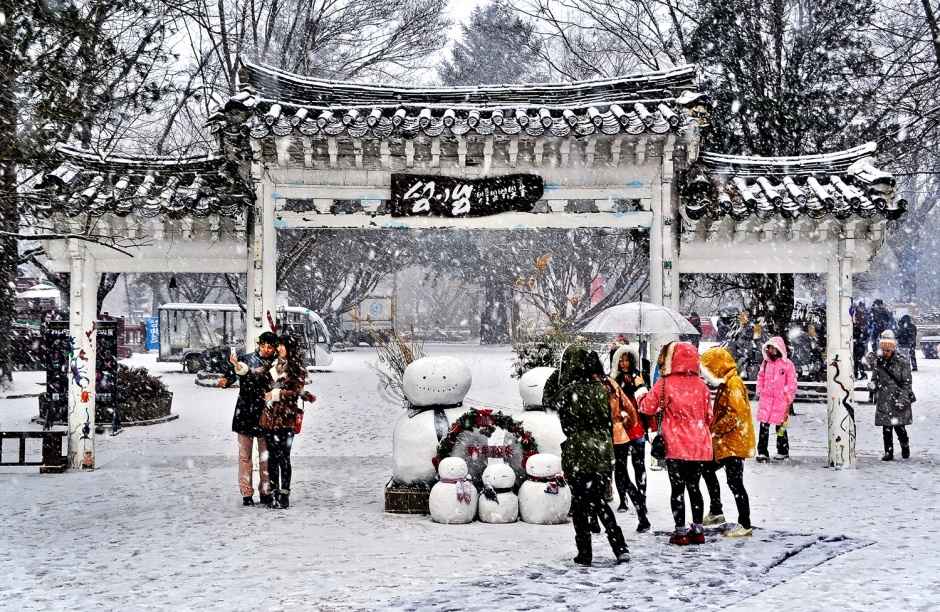 남이섬
