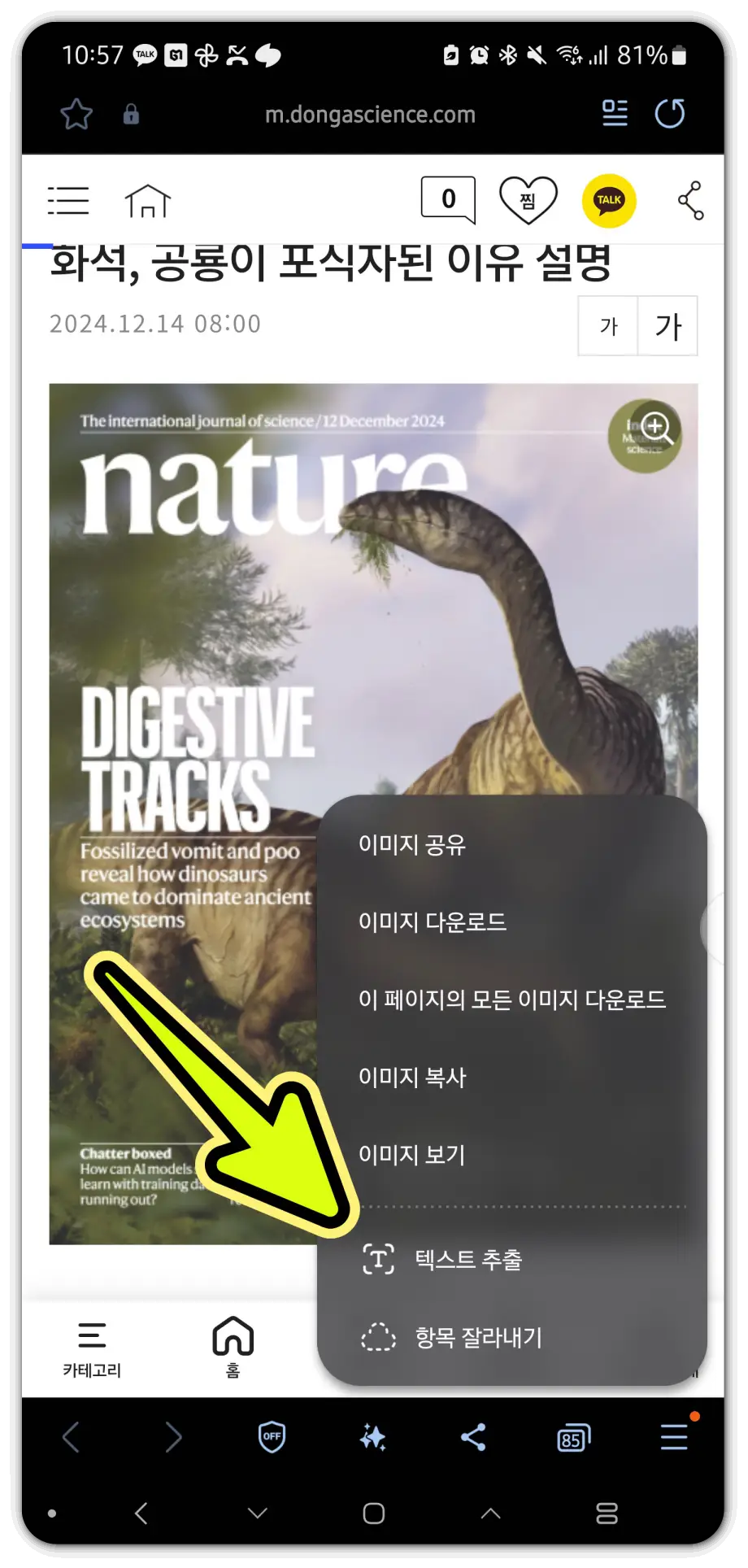 이미지-텍스트-추출-방법