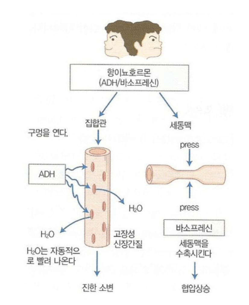 야뇨증 치료방법