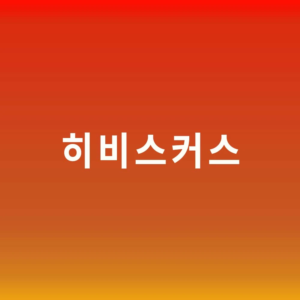 히비스커스