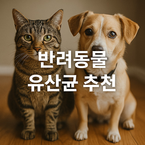 반려동물-유산균-추천