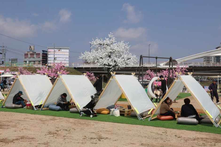 보은 벚꽃길 축제 2026 완벽 가이드