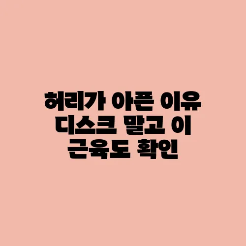 허리가 아픈 이유 디스크 말고 이 근육도 확인