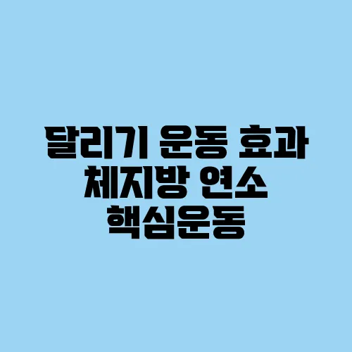 달리기 운동 효과 체지방 연소 핵심운동