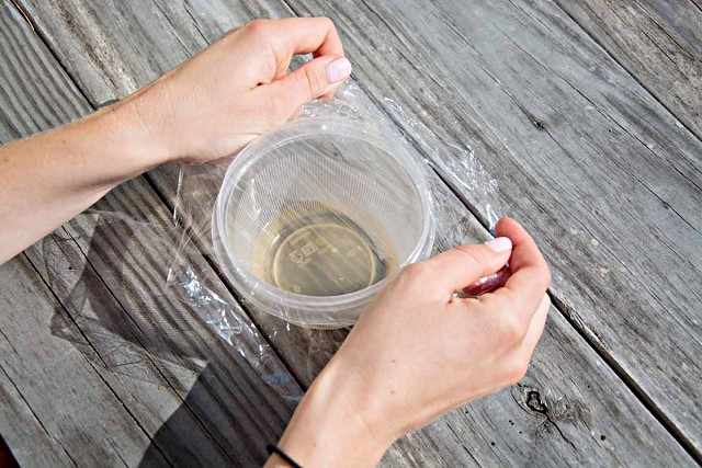 초파리 없애는 방법, 날파리 퇴치법, 초파리 트랩 만들기, 팁줌