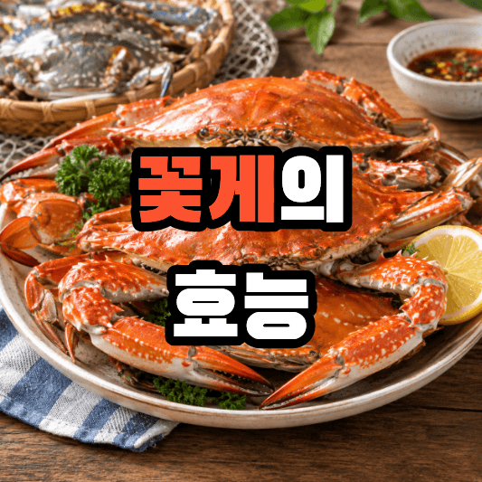 꽃게의 효능