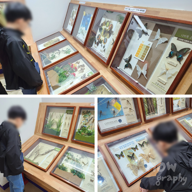 아산시-생태곤충원