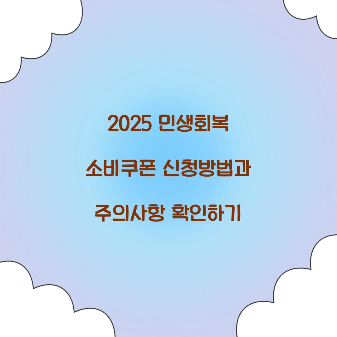 2025 민생회복 소비쿠폰 신청방법