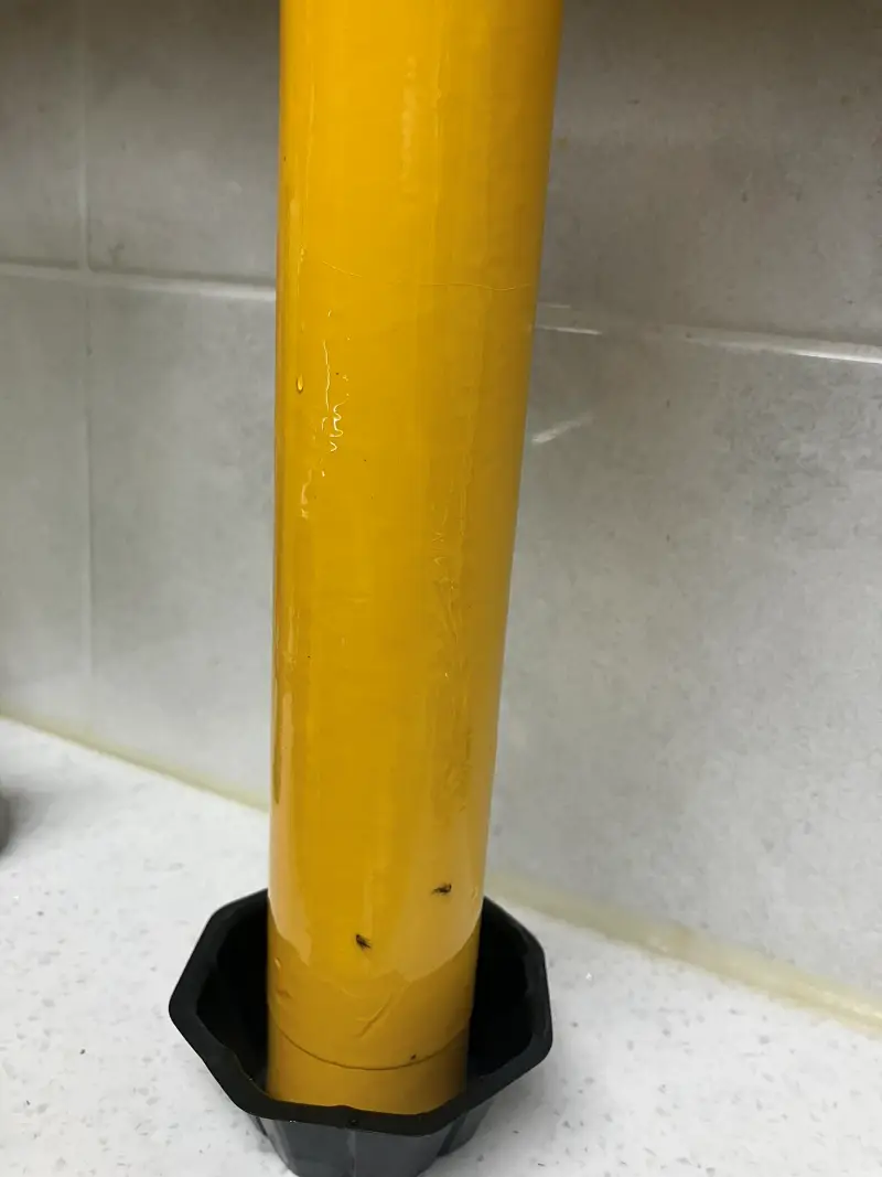 끈끈이-하단-붙은-초파리