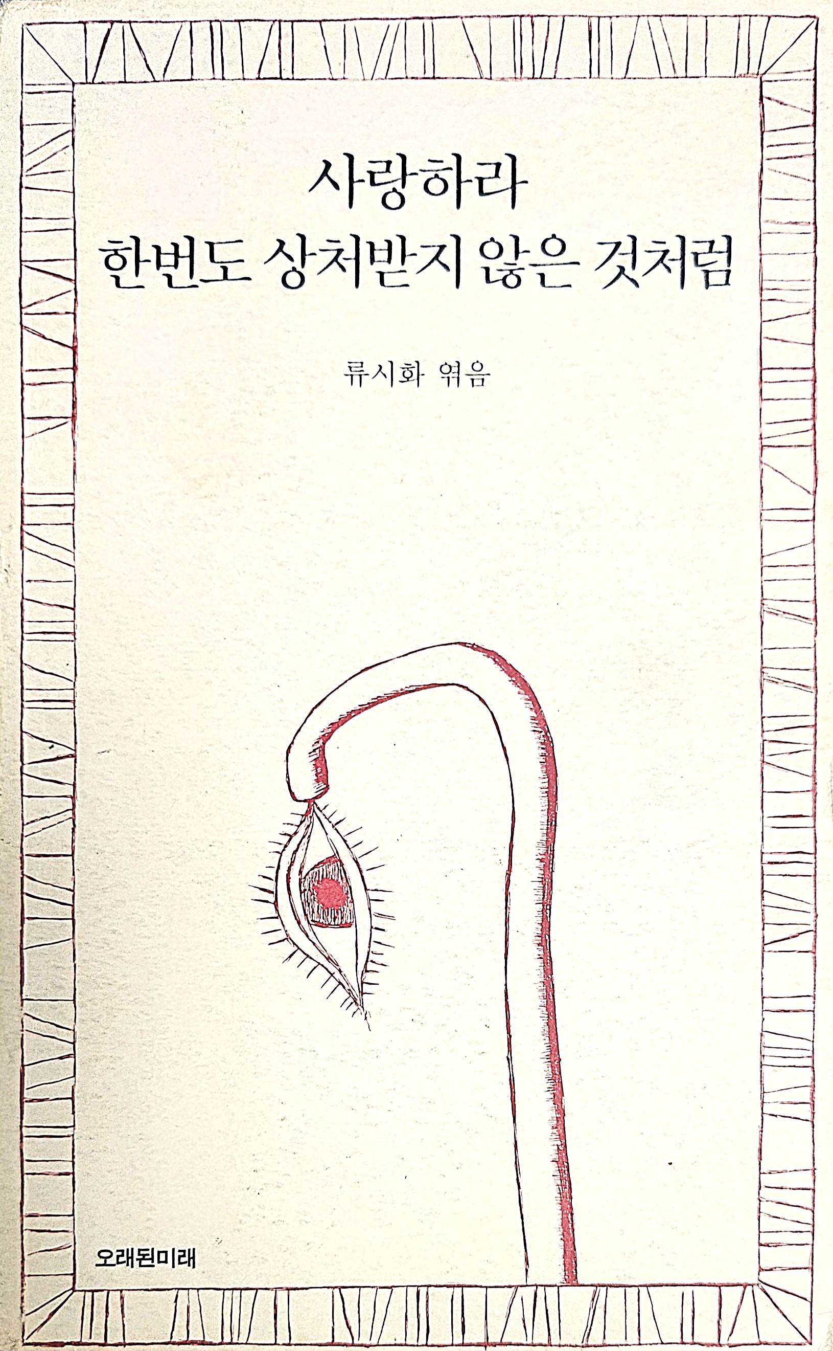 사랑하라 한 번도 상처받지 않은 것처럼 북리뷰