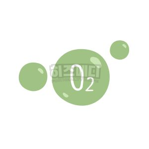 빈혈 증상 원인