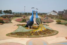 태안 세계튤립 꽃박람회