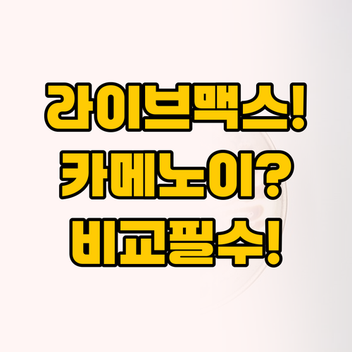 라이브맥스리조트와 카메노이 호텔 가성..