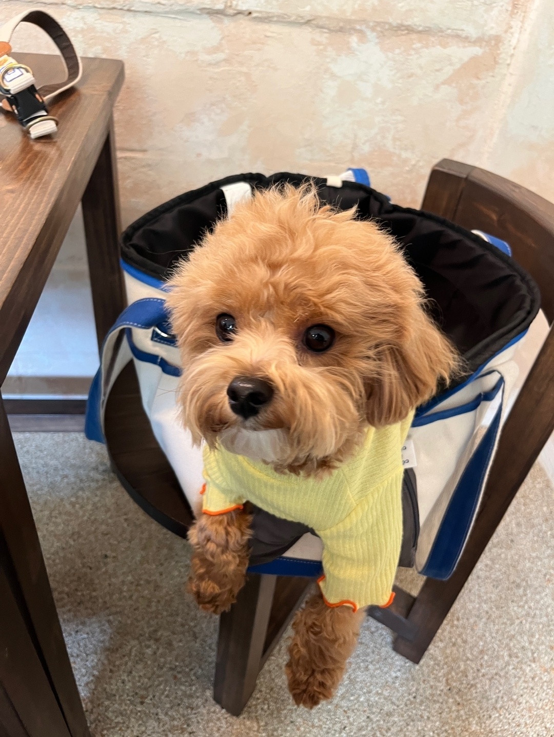 방구석-우포-사진