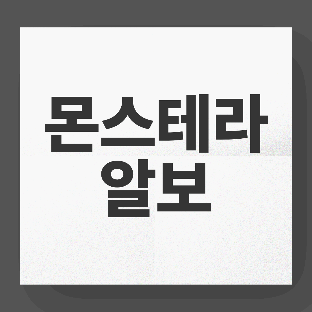 몬스테라 알보 키우는 방법과 관리 꿀팁