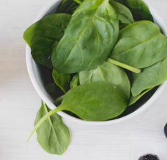 시금치 효능 부작용 고르는법 칼로리