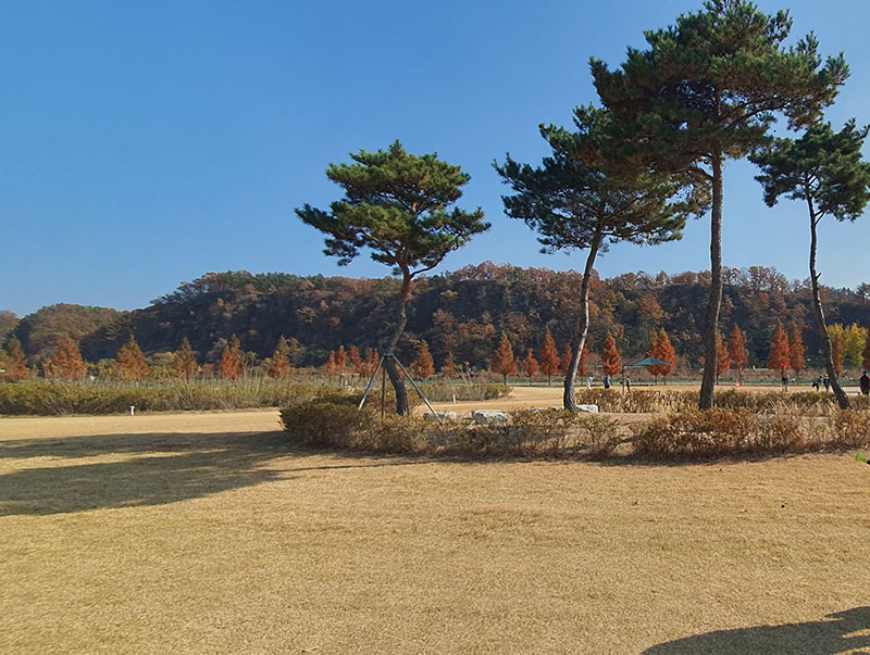 경상북도 영천시 영천조교파크골프장 소개 (공인 인증 구장)