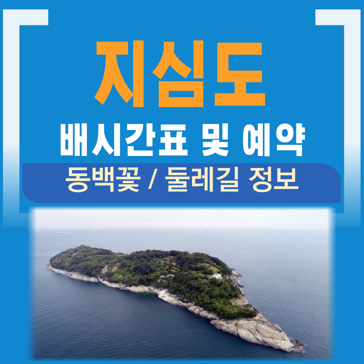 지심도 배시간표(지심도 동백꽃 피는 시기)